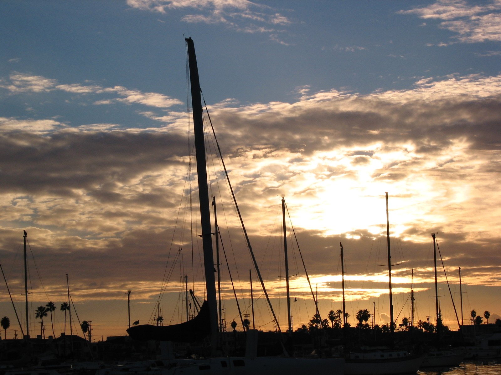 sailboats anchored in the harbor at sunset