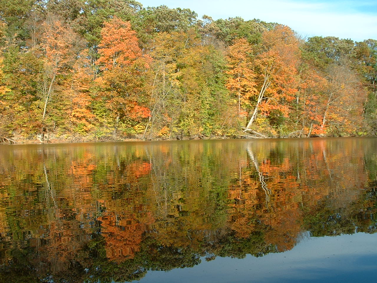 trees that are changing color on a lake