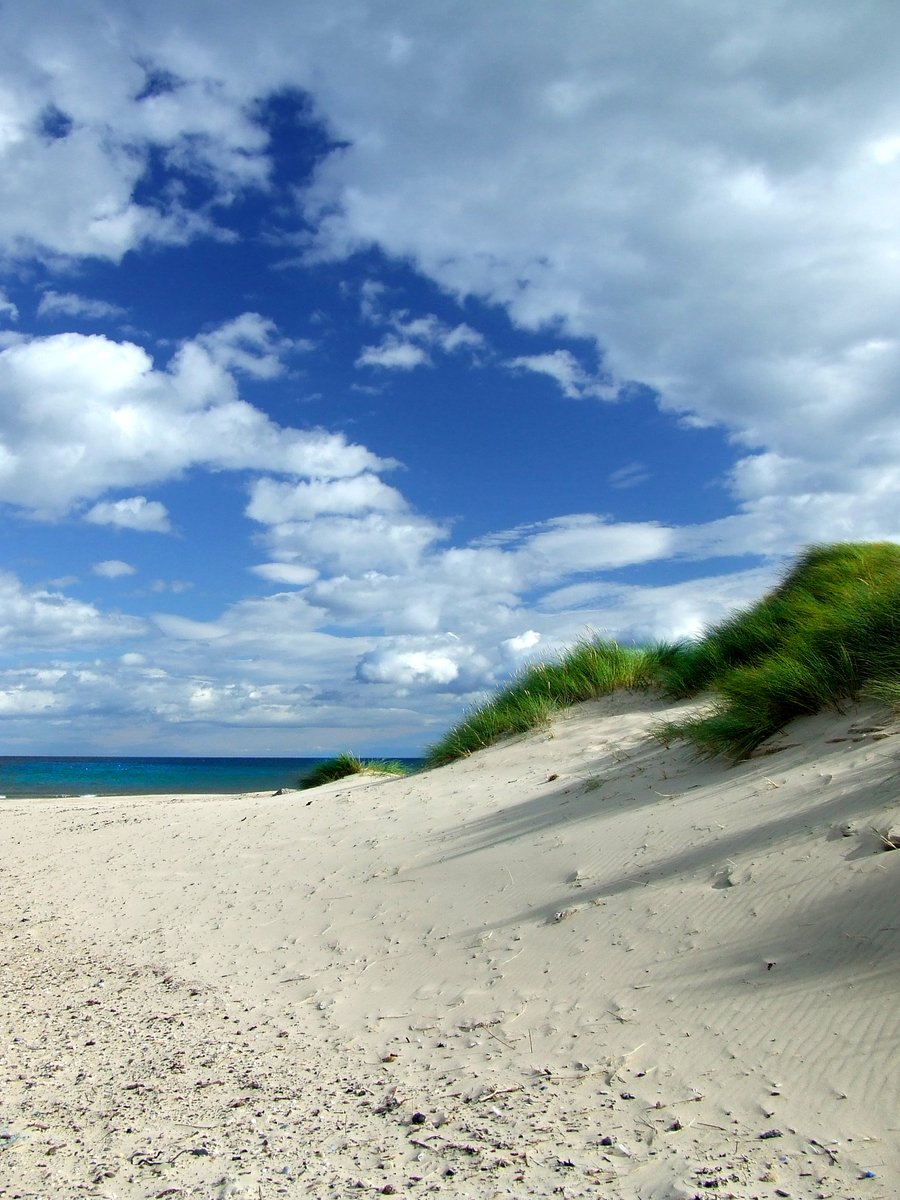 a sand dune is shown on the beach