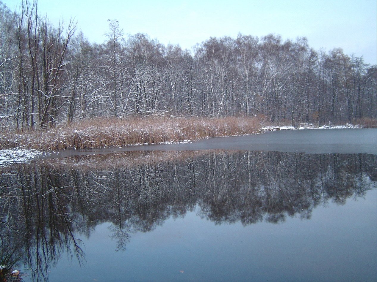 a pond sits empty in the middle of a snowy field