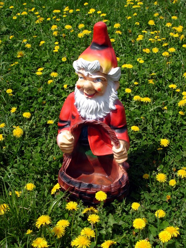 a garden gnome sits in a field of dandelions