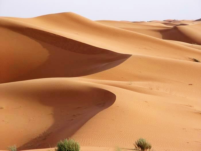 desert scene with a sandy, flat, wide expanse of sand