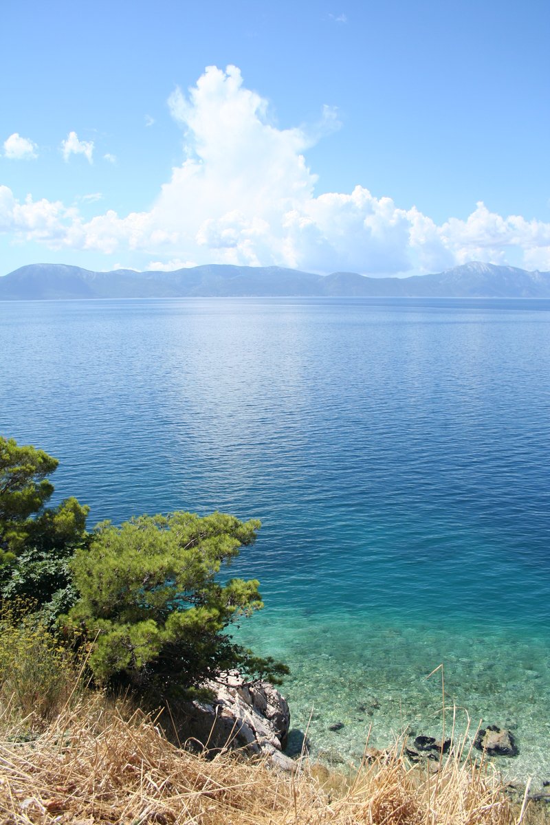 a view of a lake that has been partially submerged