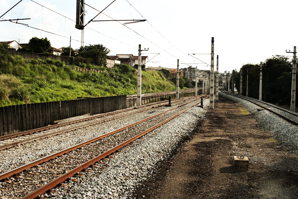 the railroad tracks are empty, and you can see some trees