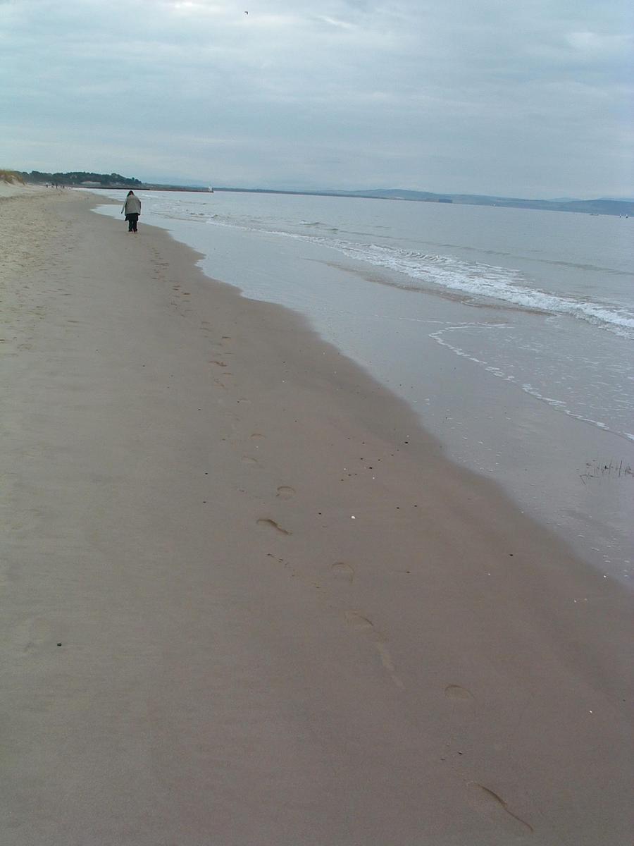 man walking along the shore of a beach, in the distance a bird is flying overhead