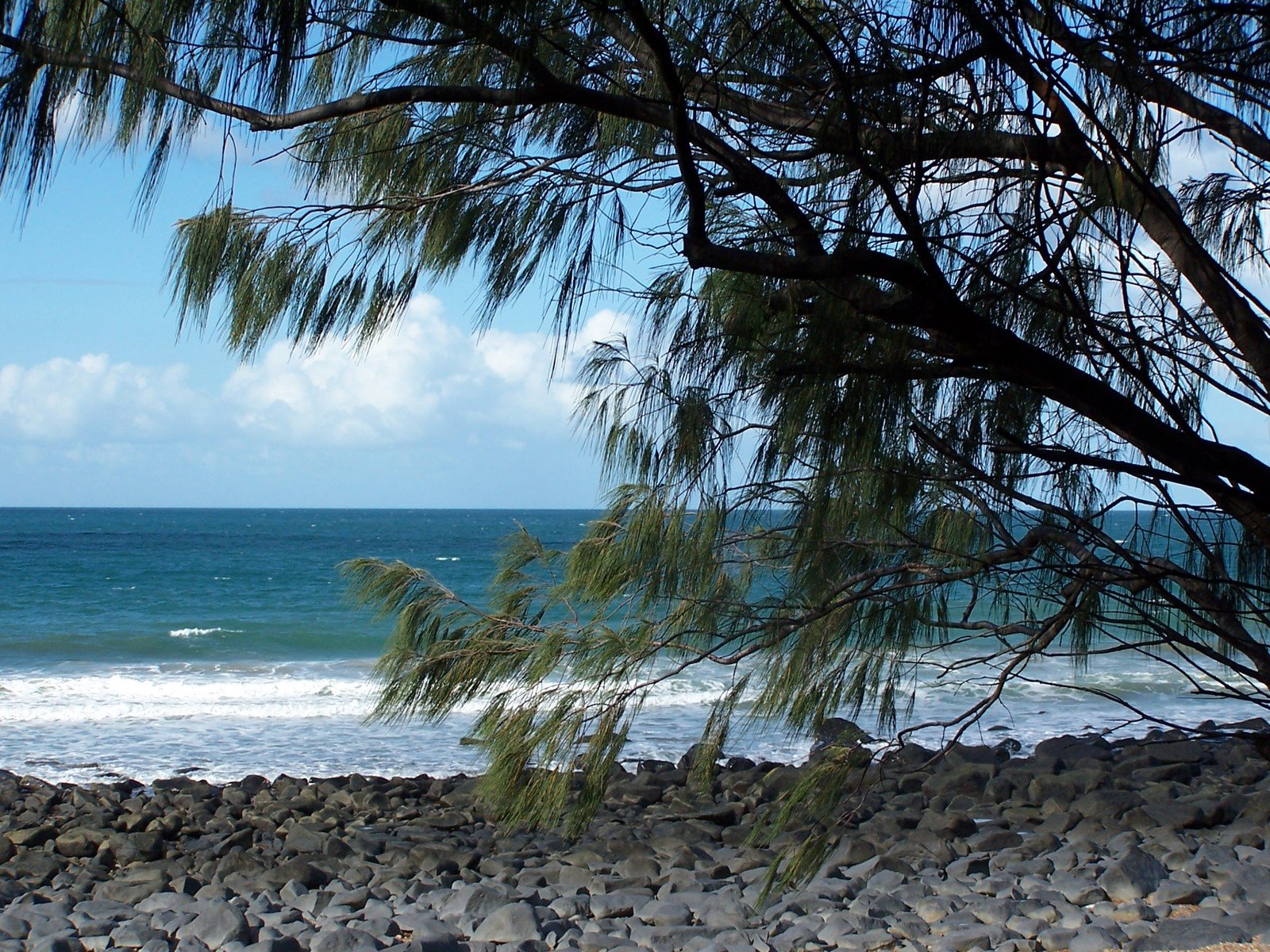 an ocean view through some nches on the rocks