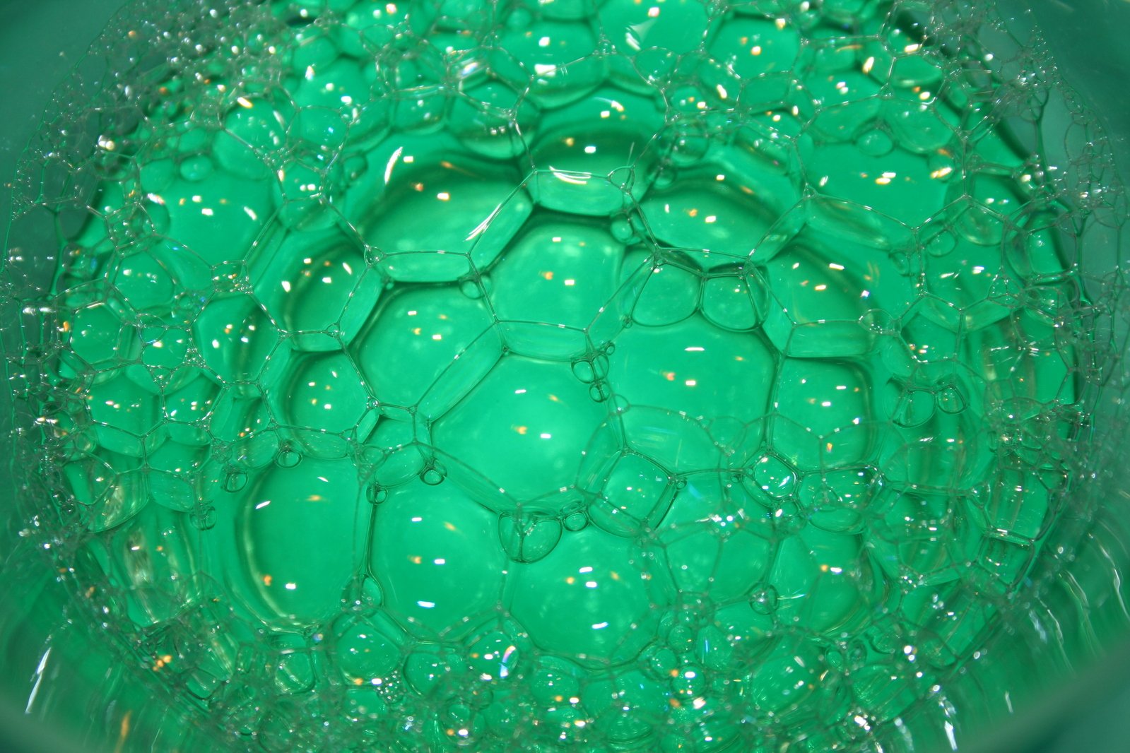 a very green bowl filled with lots of water