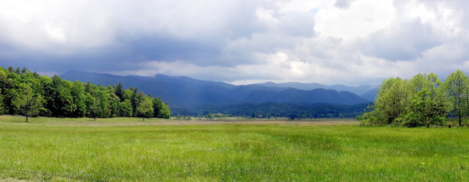 a field with green grass, a wooded area and mountains in the distance