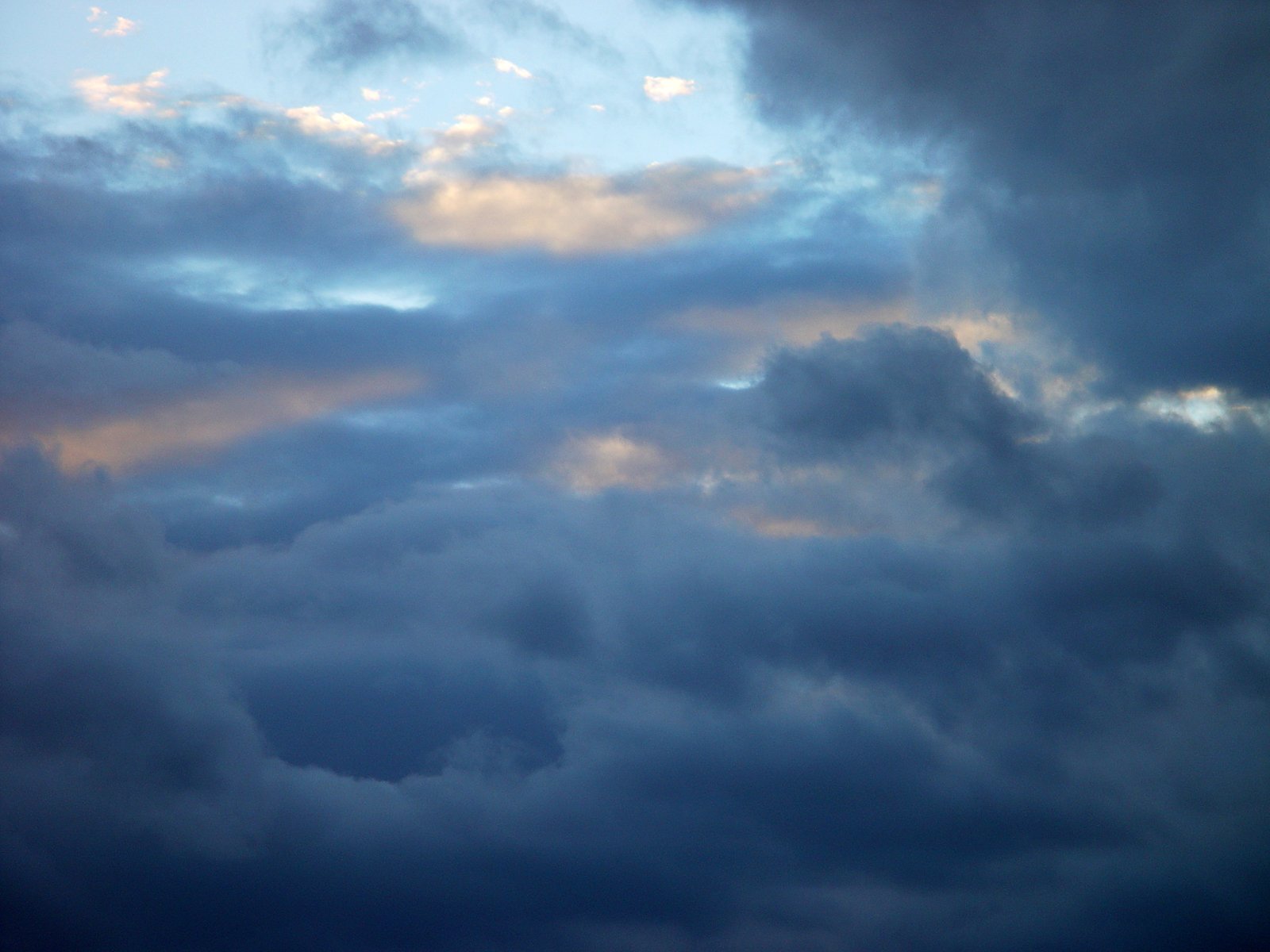 birds are perched on a fence against the cloudy sky