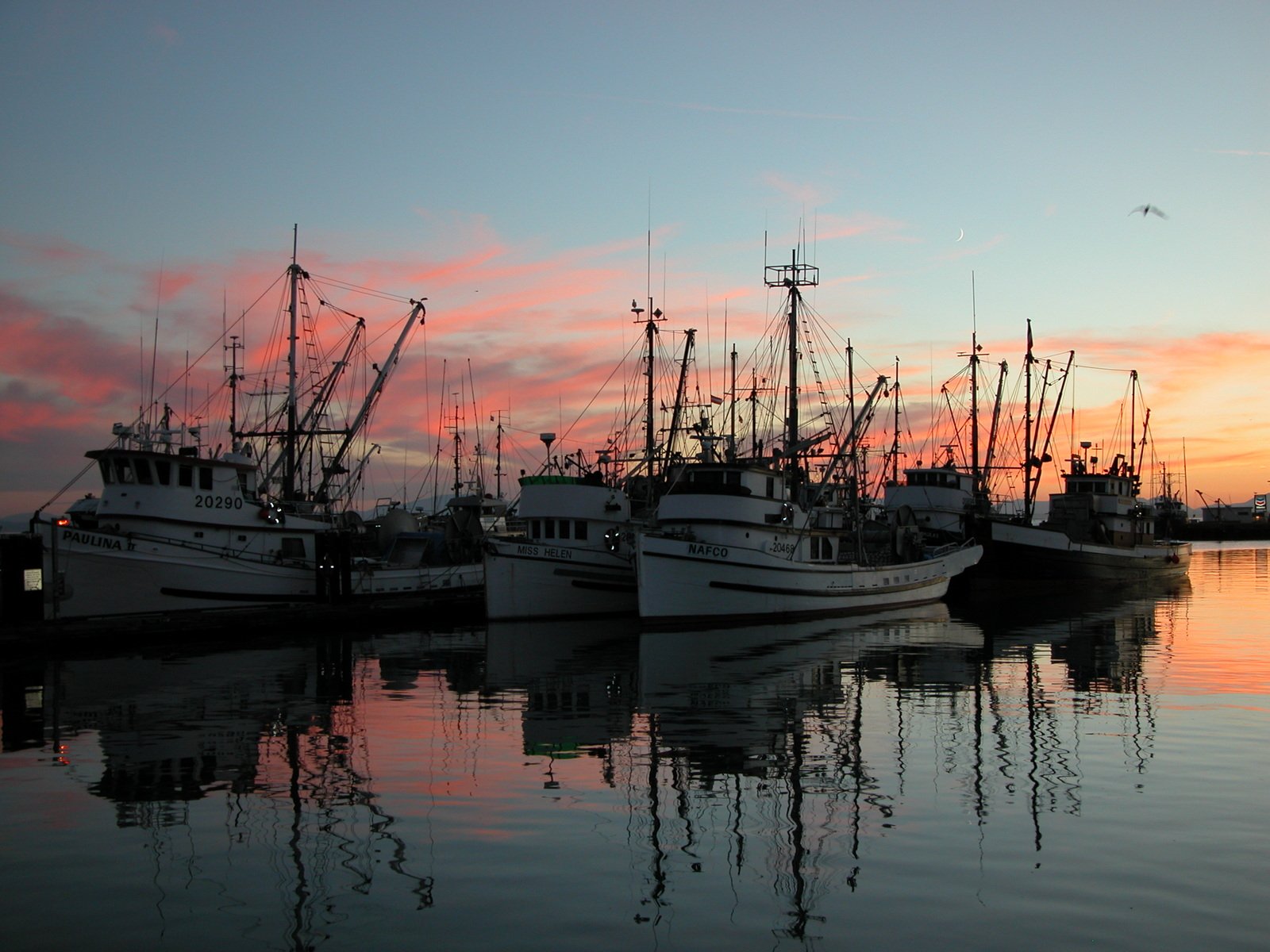 several large ships sit on the water at sunset