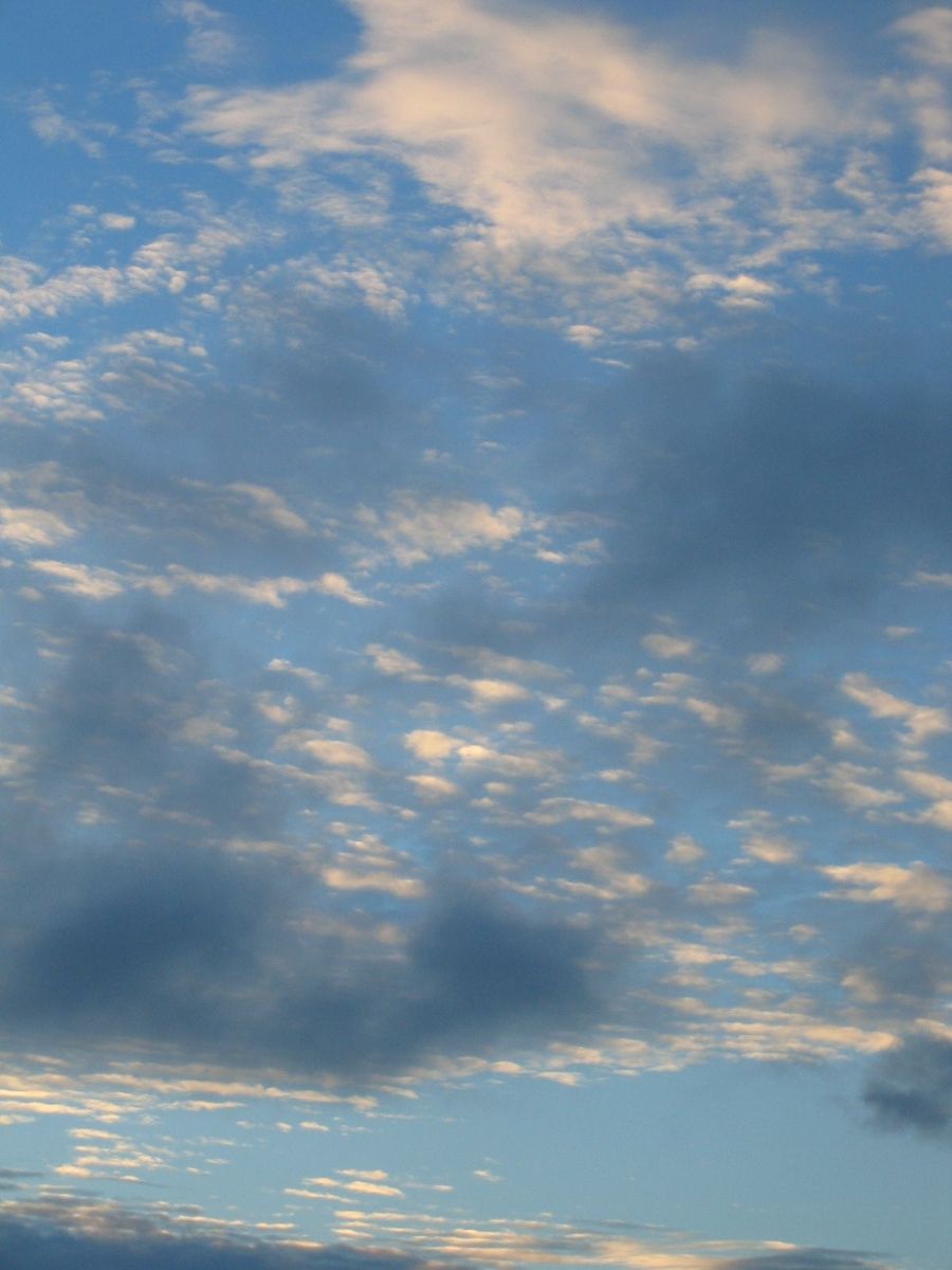 the plane flies high in the sky with clouds