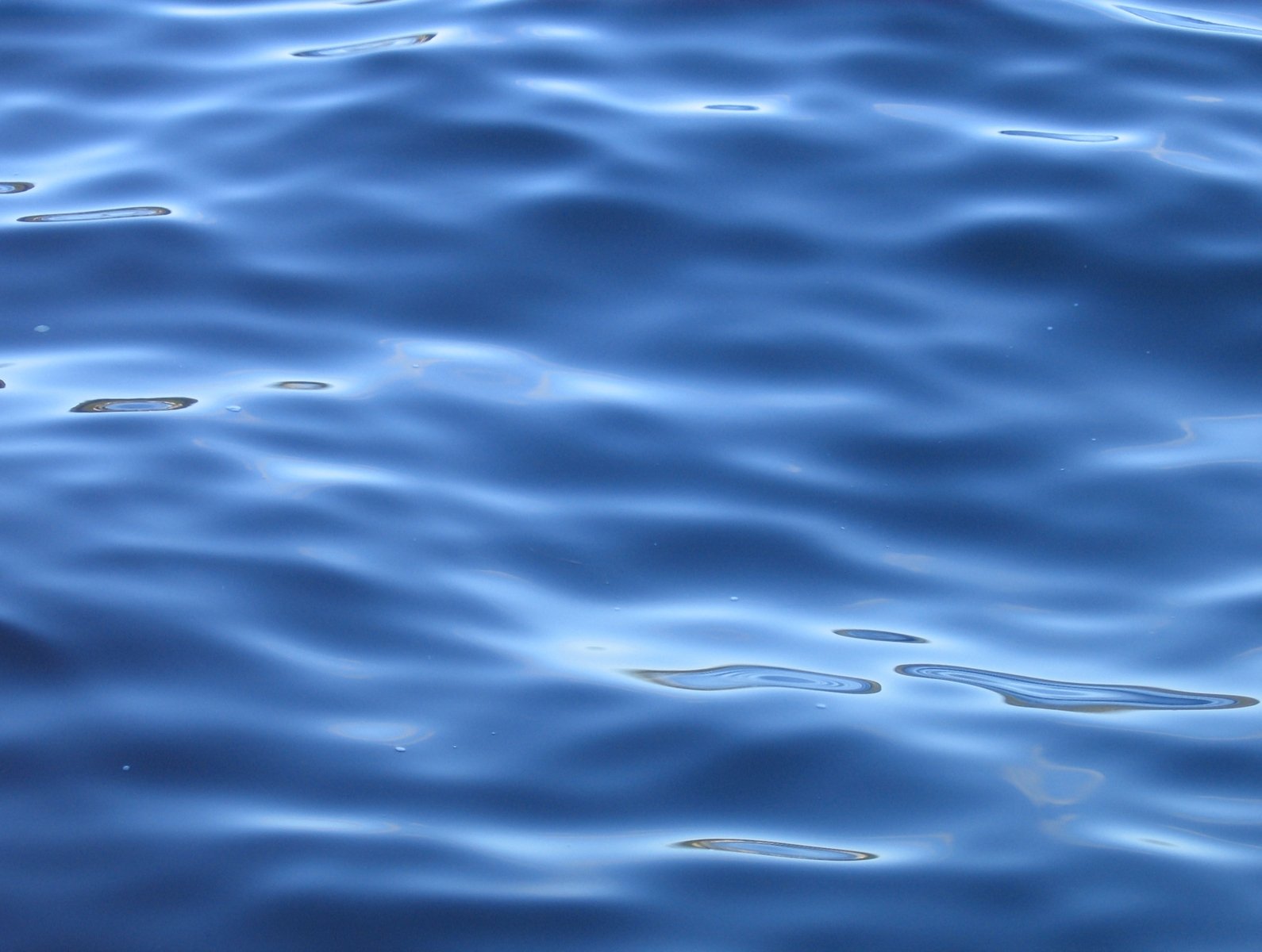 blue water has waves on it and is surrounded by other ripples
