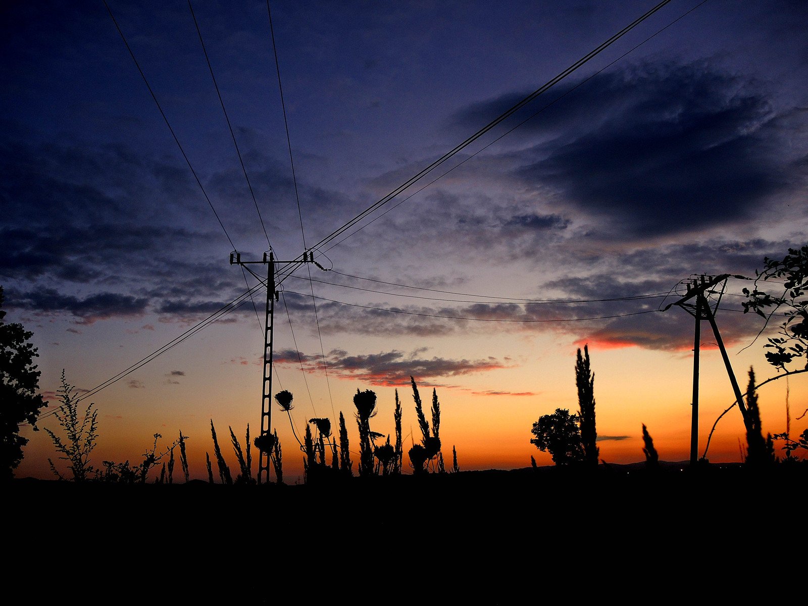 power lines that are standing in the grass