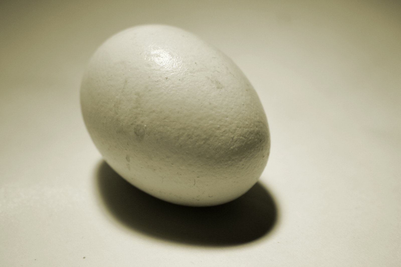 an egg sits on a white table and casts a shadow
