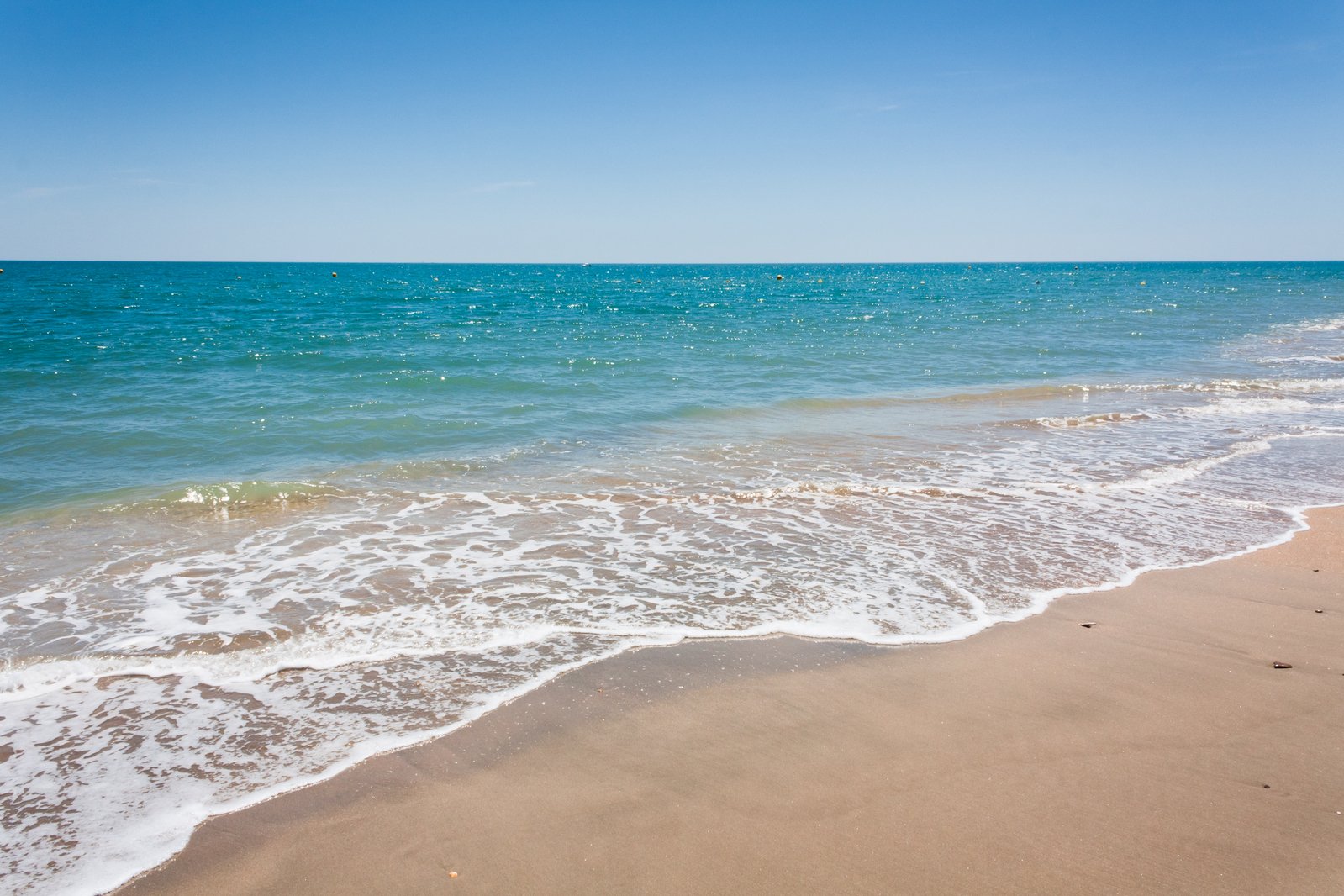 waves roll in on the sand on a beach