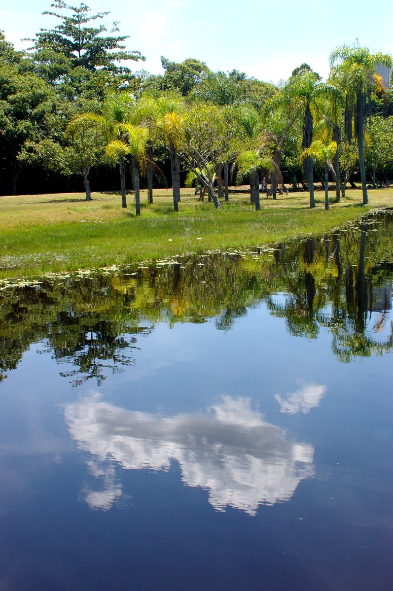 the sky reflects on the water in the foreground