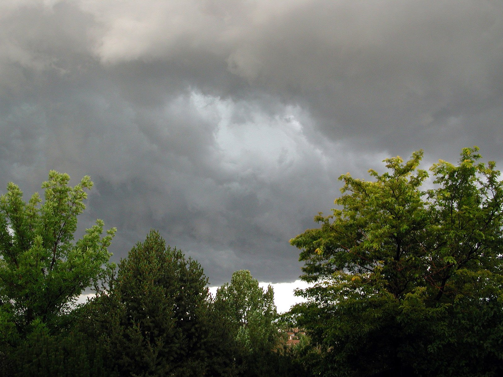 the storm clouds loom over the trees in the background