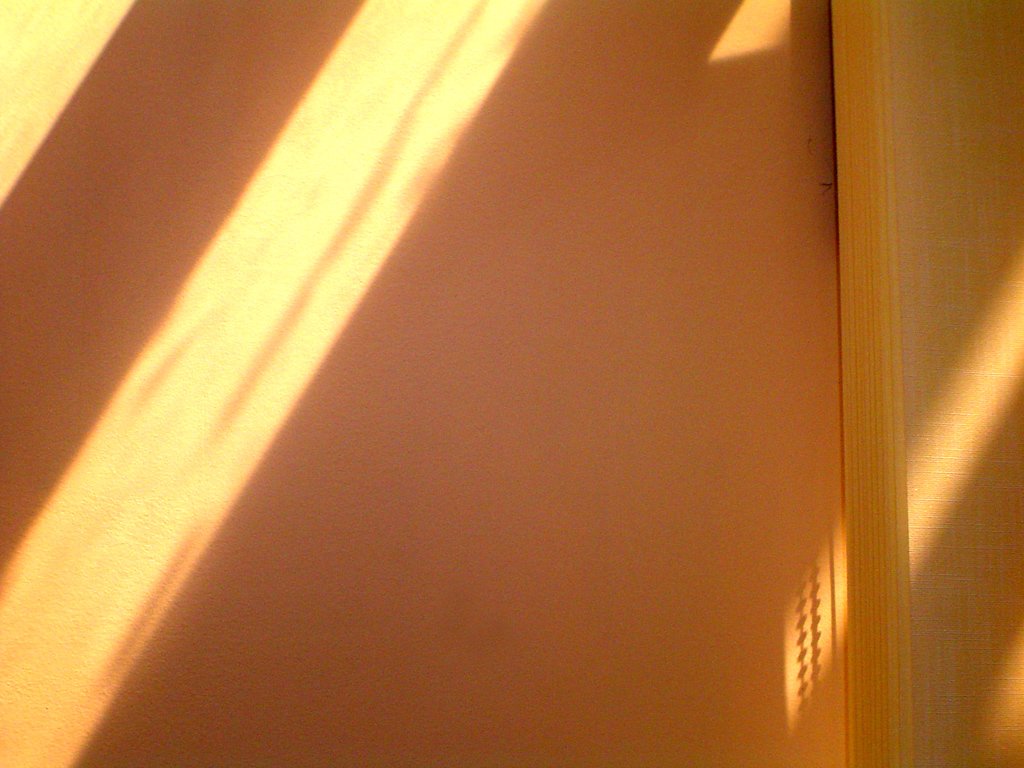 shadow from light hitting through curtain of bed in small room