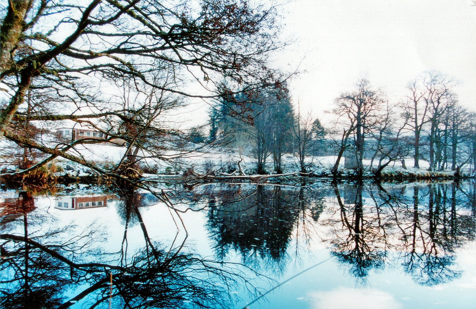 trees are shown along the shore of a lake