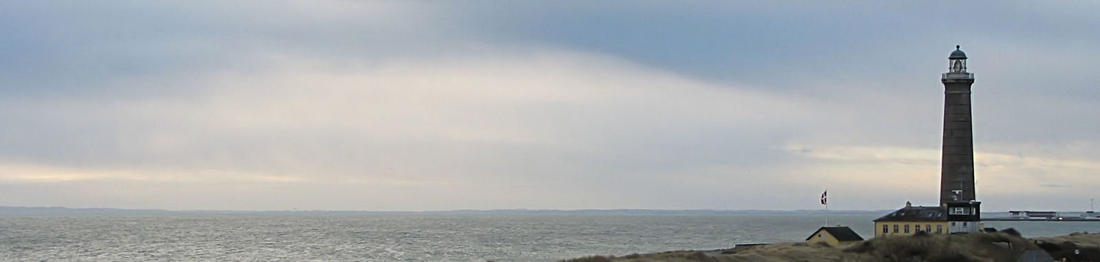 a seagull flying over the ocean near a light house