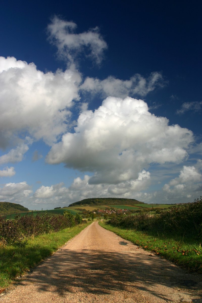 a dirt road in the middle of a grassy field