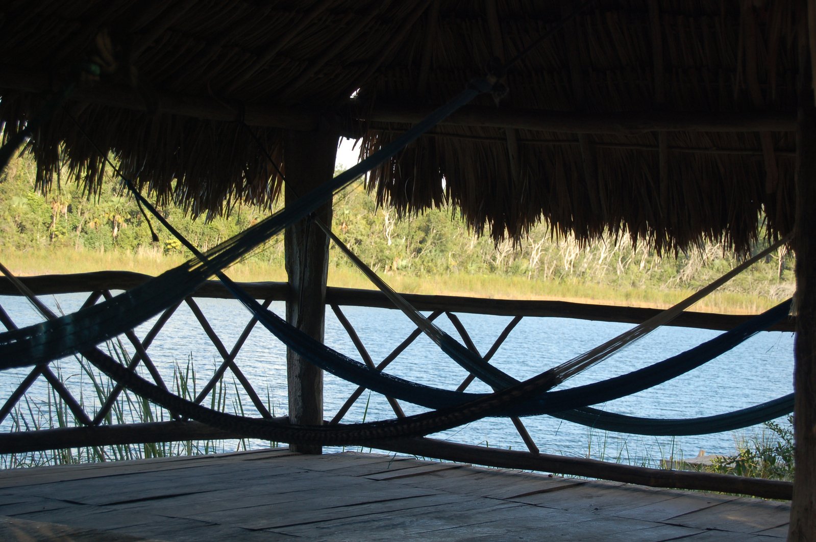 a view of a body of water from a hammock