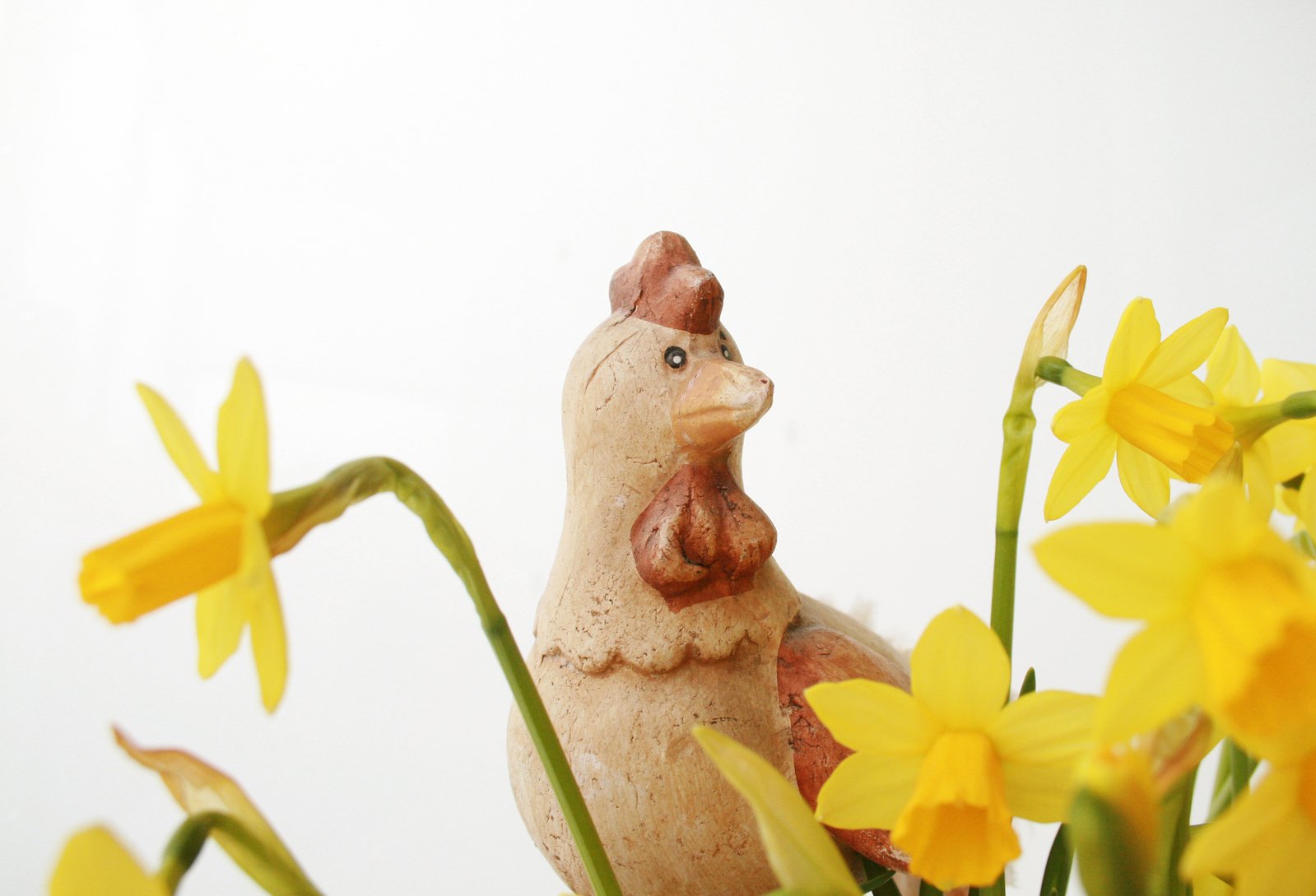 there is a chicken that is standing in the flowers