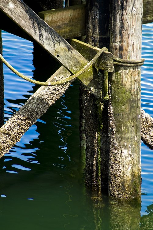 a wooden beam in the water with chains hanging off of it