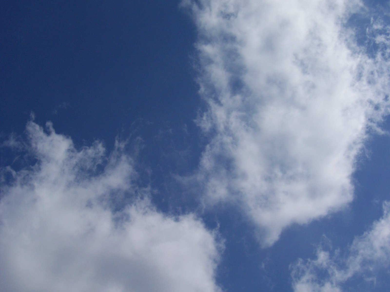 a picture of a plane flying high in the sky