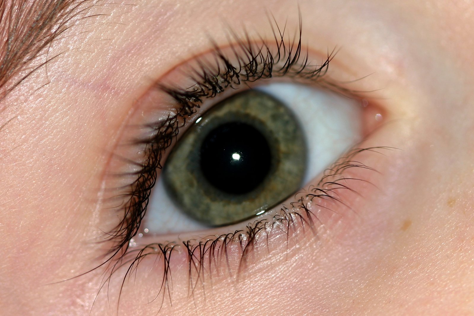 a close up view of an eye with green eyes