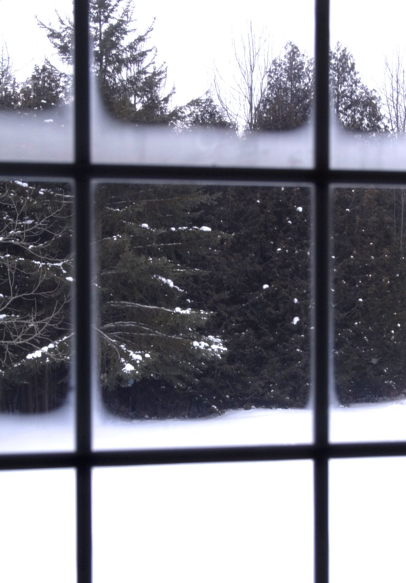 the view out of a window of a wooded area