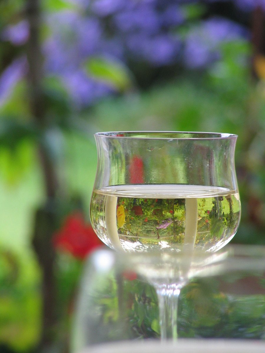 two wine glasses full of white wine with green reflection on them