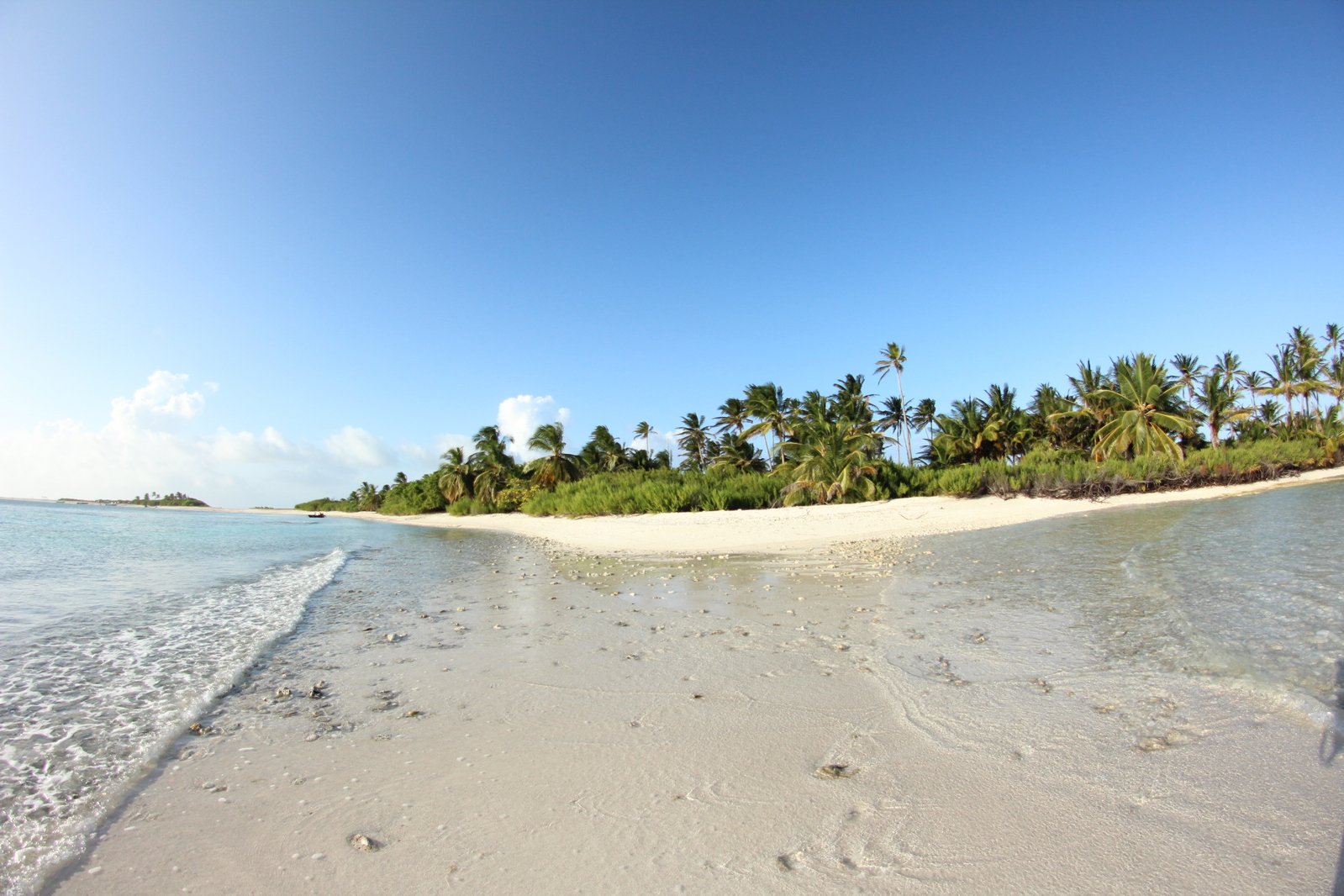 there is a sandy beach with palm trees on the other side