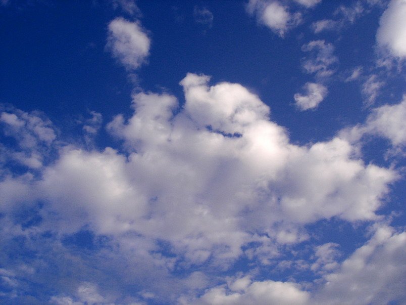 two people standing in the field under a blue sky with some clouds