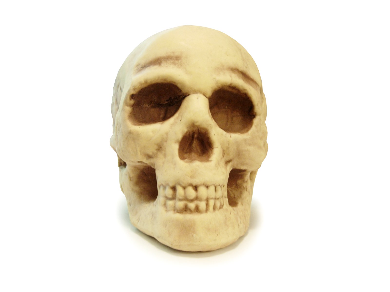 a carved white human skull with no teeth