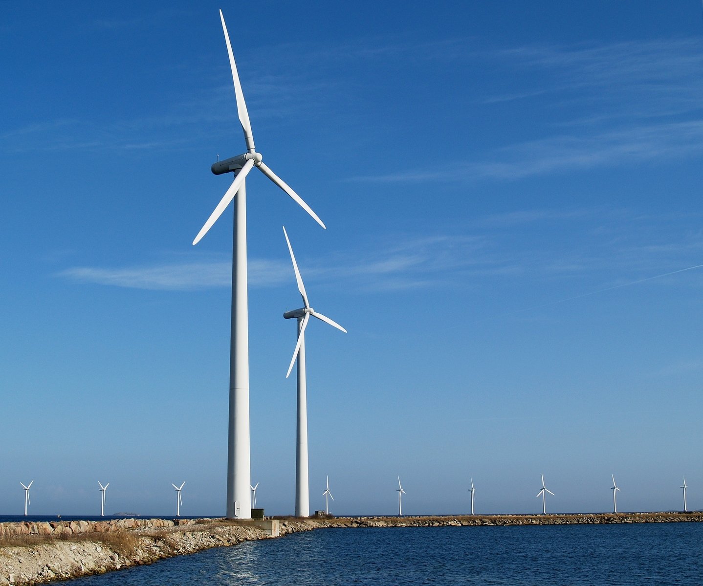 a bunch of windmills are all near the water