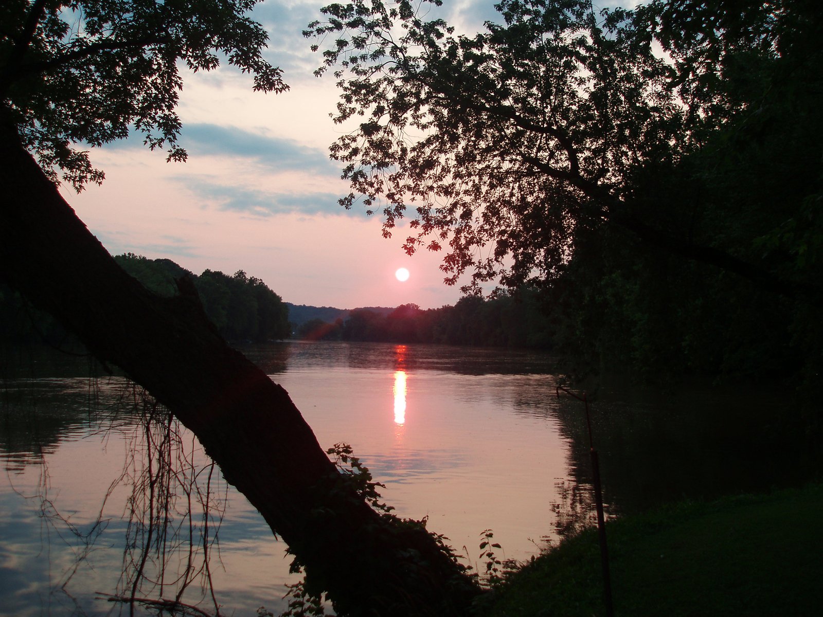 the sun setting over a river in the forest