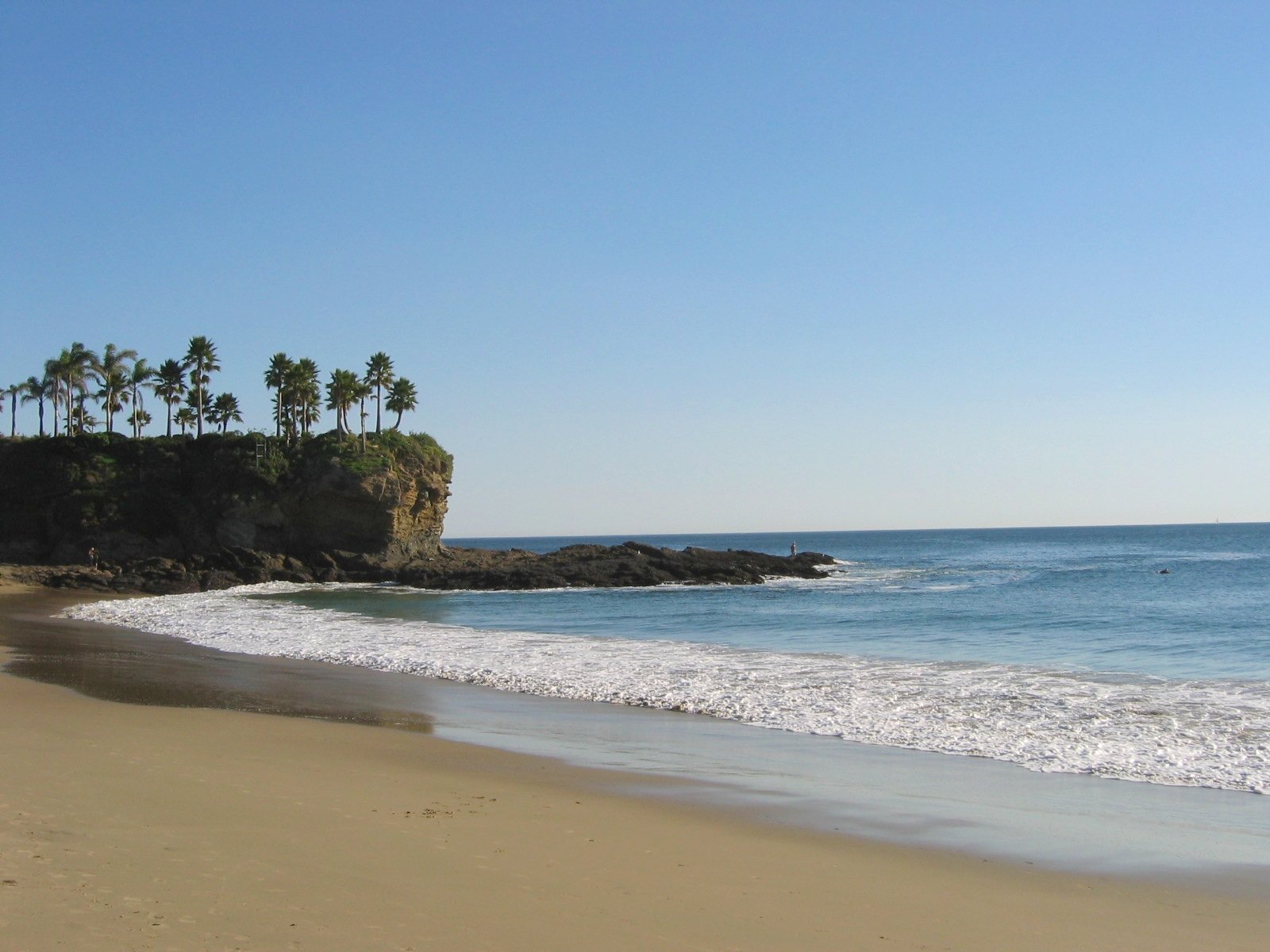a beach with palm trees and waves crashing to shore