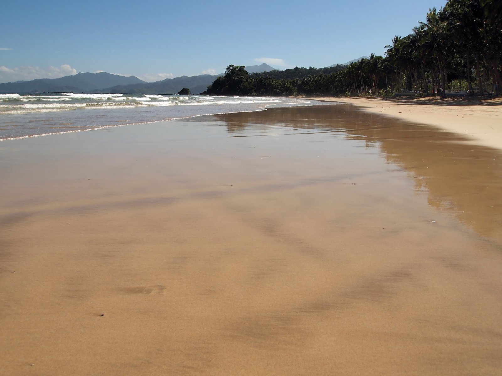 a sandy beach with a wave coming in