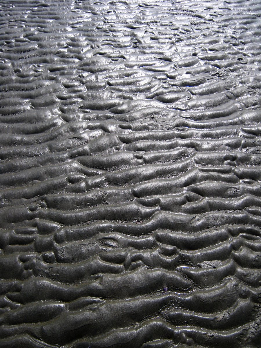 a wet, drizzly beach with ripples and wave