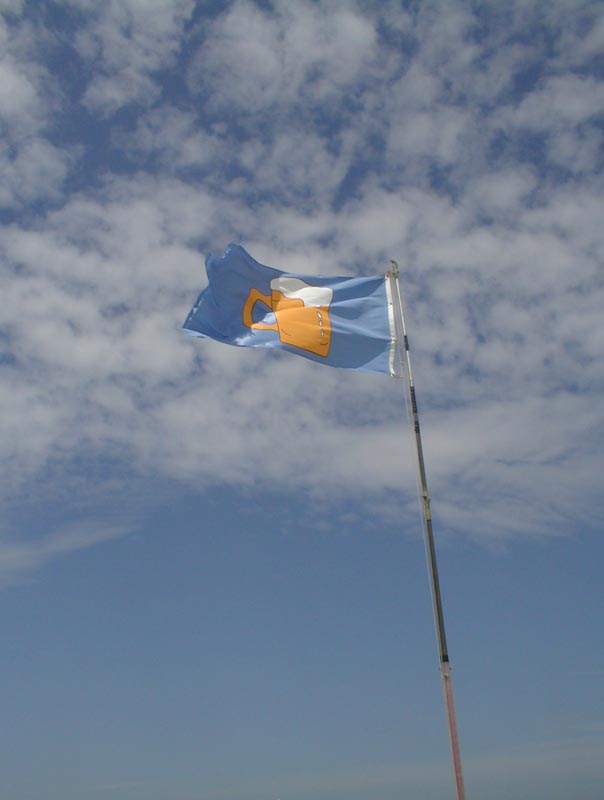 a big flag flying on the beach next to the ocean