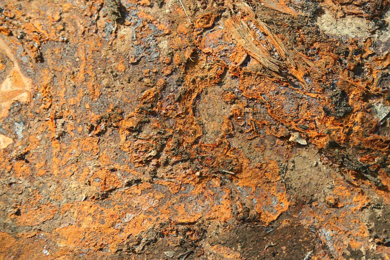 brown and gray rock covered in mossy material