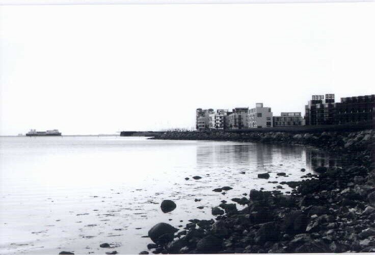 a lake is shown next to buildings and in the background there are rocks