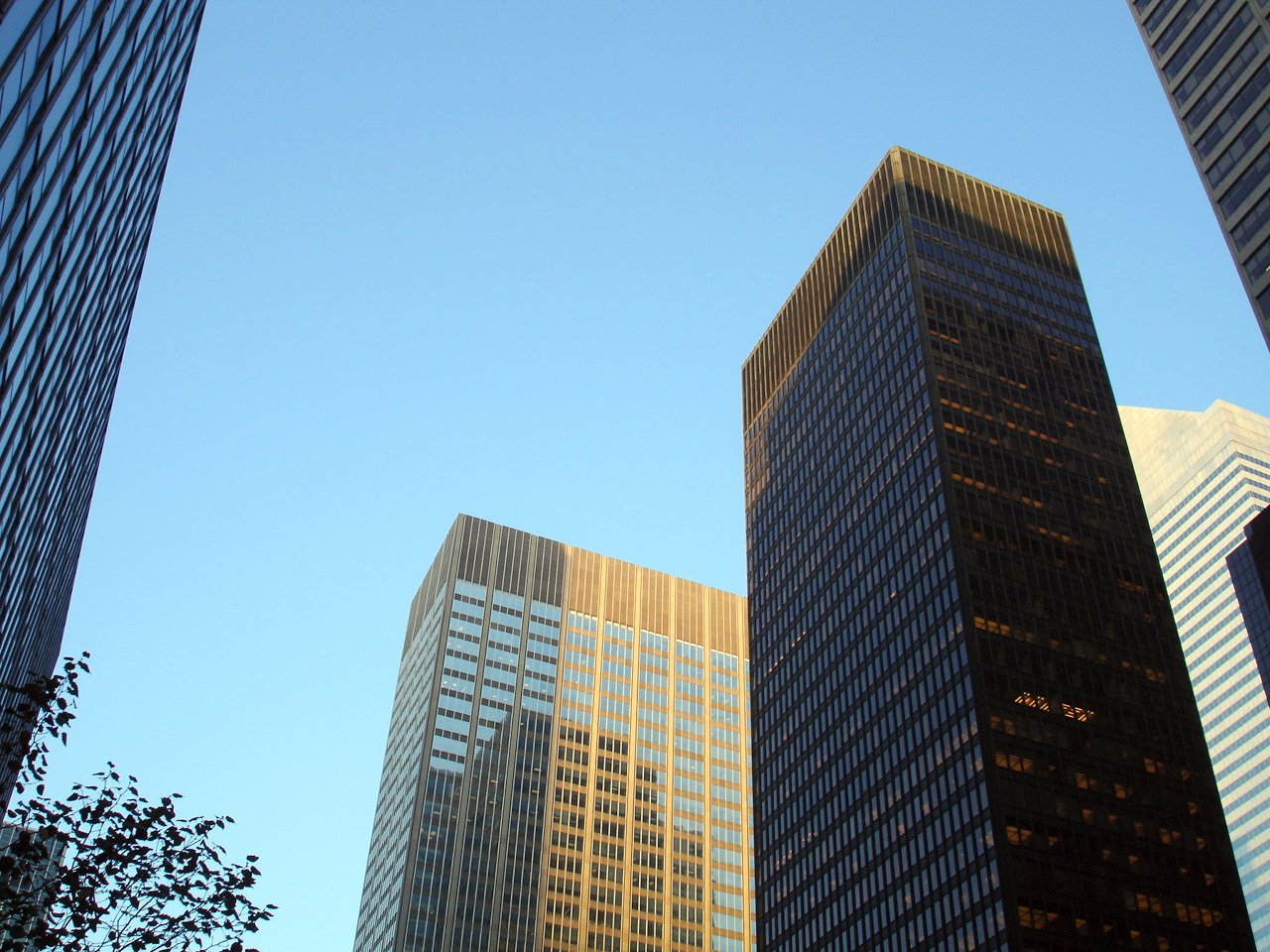 skyscrs on the side of a road with a clear sky background