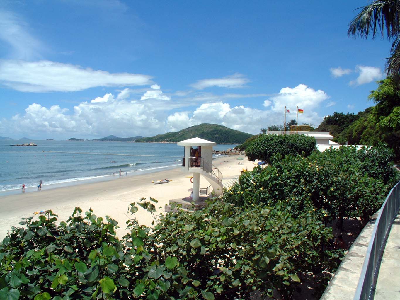 a sandy beach is seen from the top of some bushes