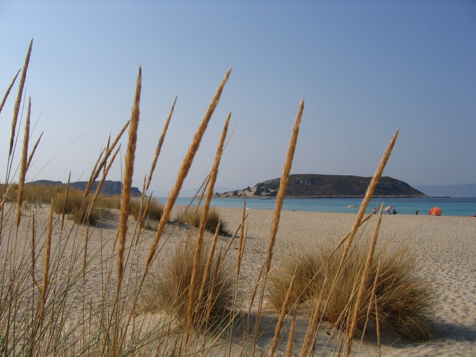 an image of the beach in front of some water