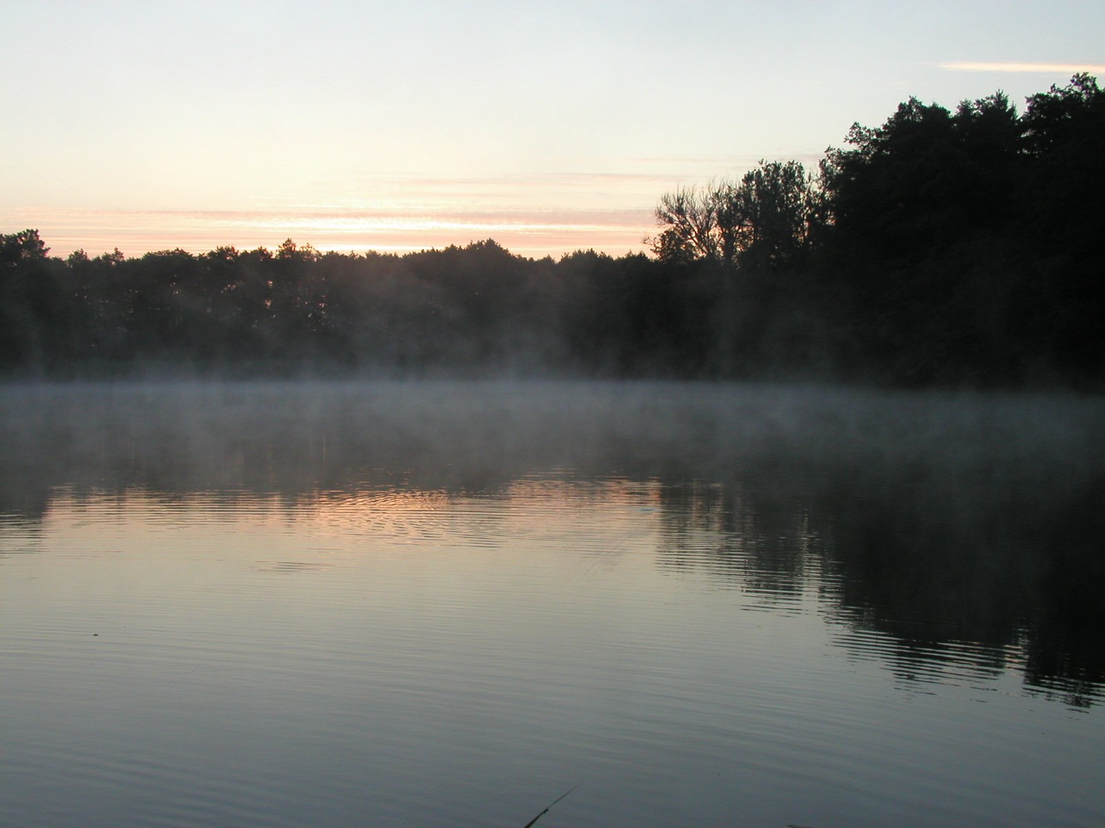 the fog is covering the water and trees in the background