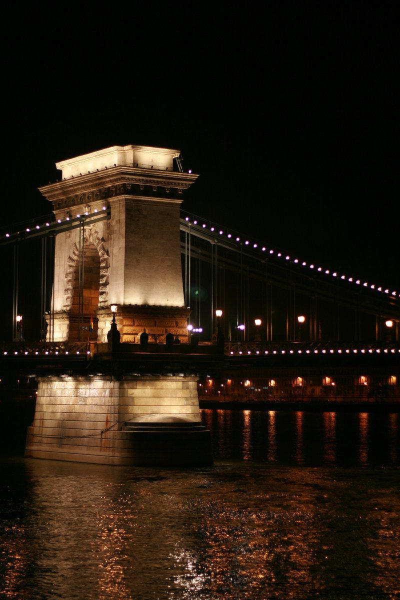 a big bridge going over the water and some lights on it