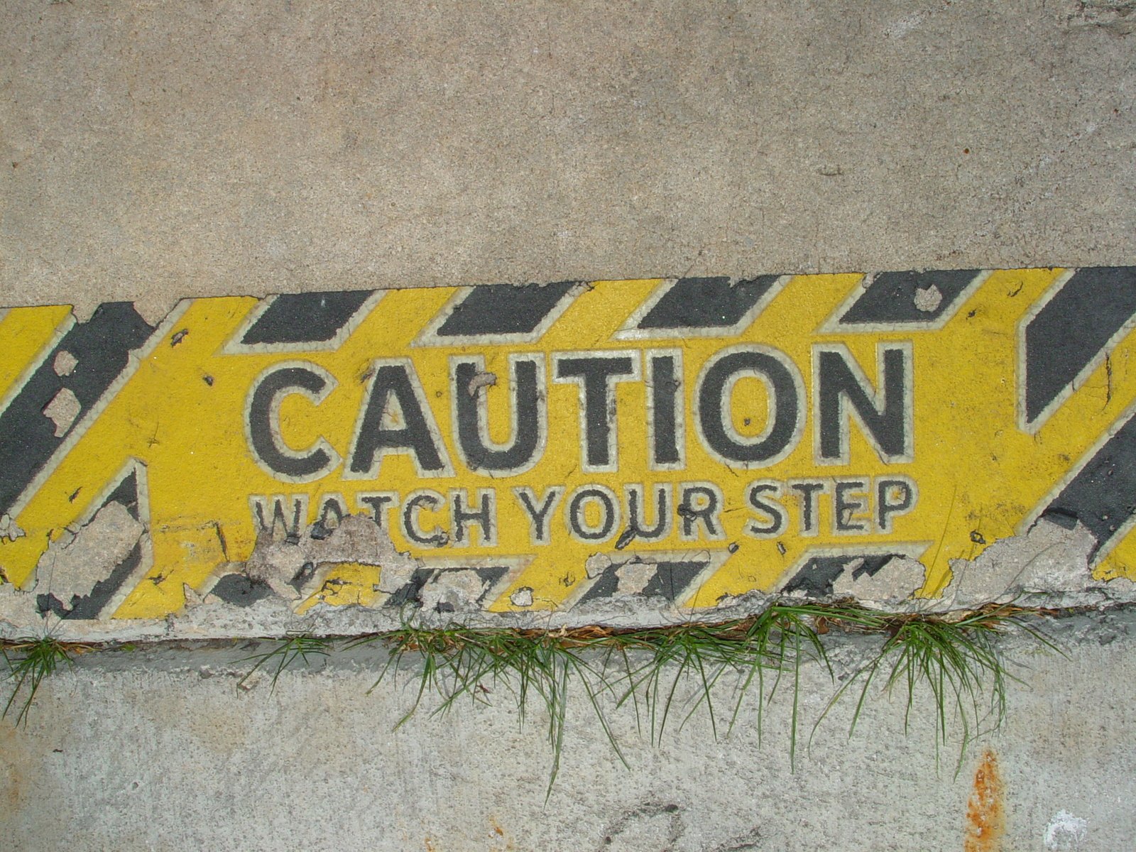 yellow and black caution sign on cement wall near grass