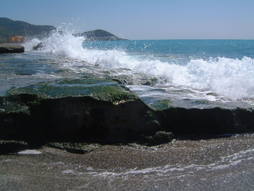 a large wave rolls in on the beach